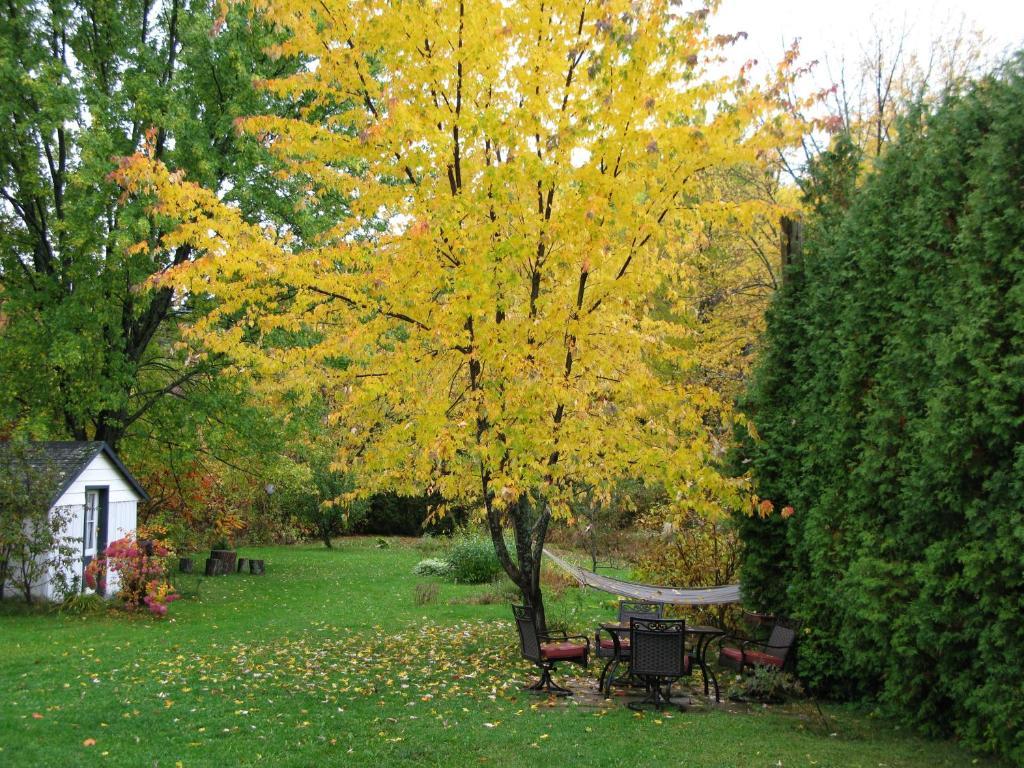 Gite Aux Traditions Saint-Jean-des Piles Exteriér fotografie